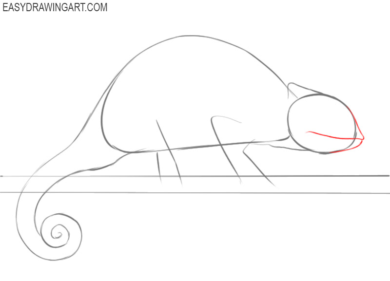 how to draw a chameleon step by step