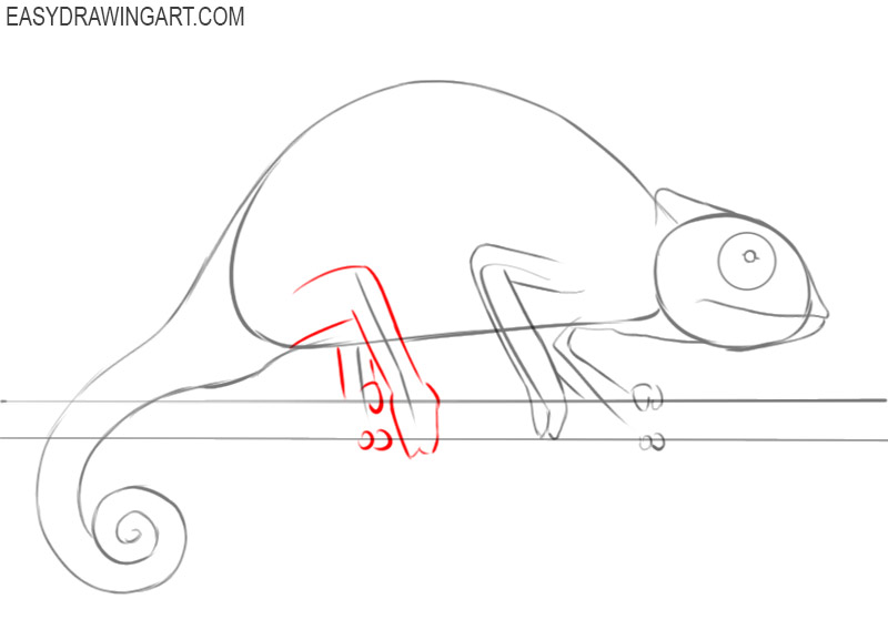 how to draw a chameleon pencil drawing