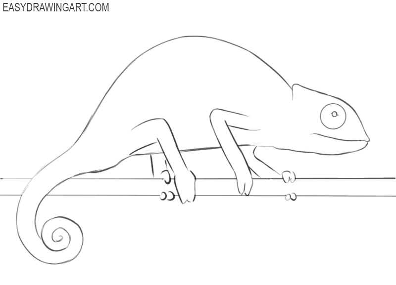 steps on how to draw a chameleon