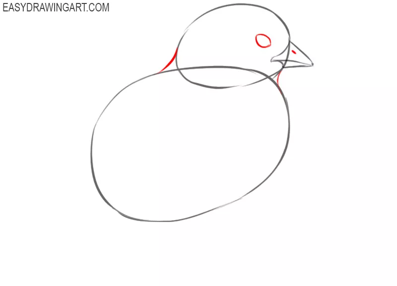 how to draw a chick cartoon