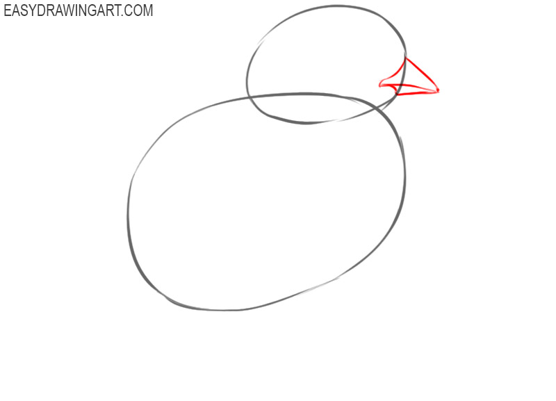 how to draw a chick draw so cute 