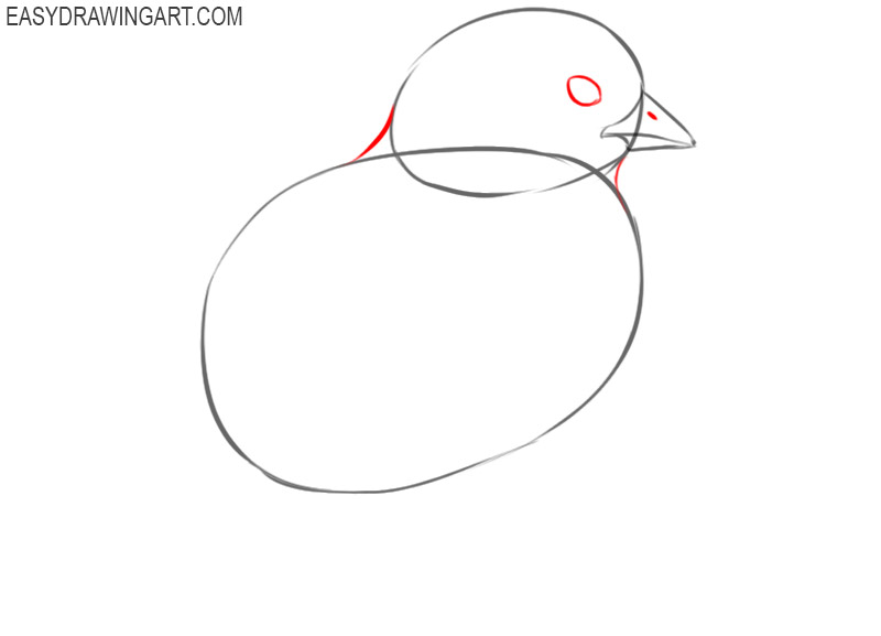 how to draw a chick cartoon