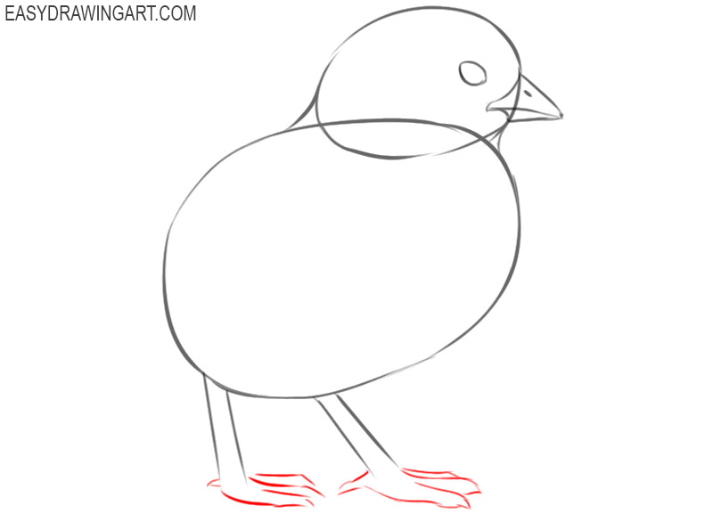 how to draw a cute chick easy