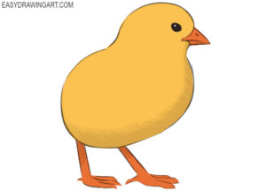 How to draw a chick