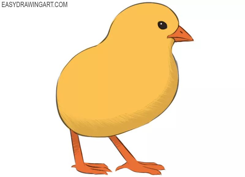 how to draw a chick