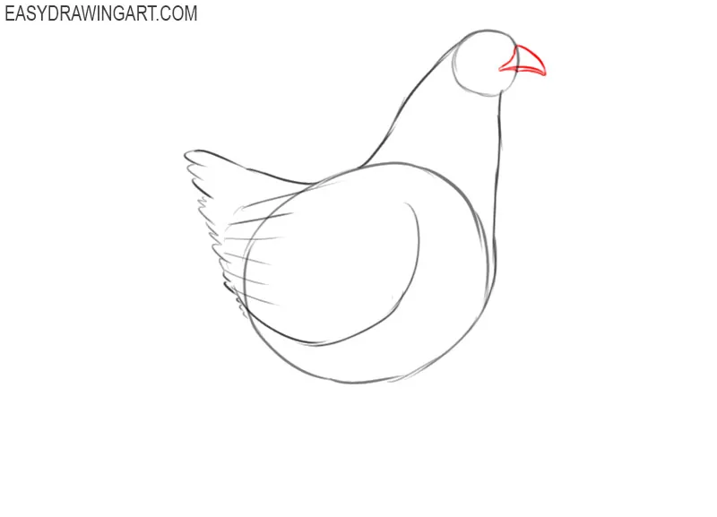 how to draw a chicken cartoon
