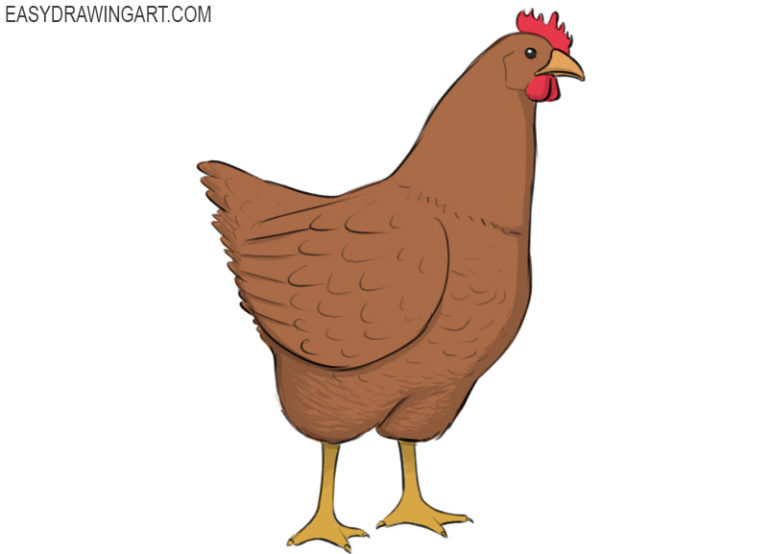 How to draw a chicken