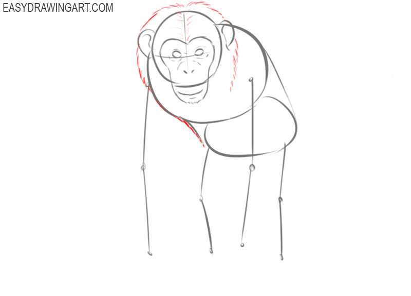 how to draw a chimpanzee step by step easy