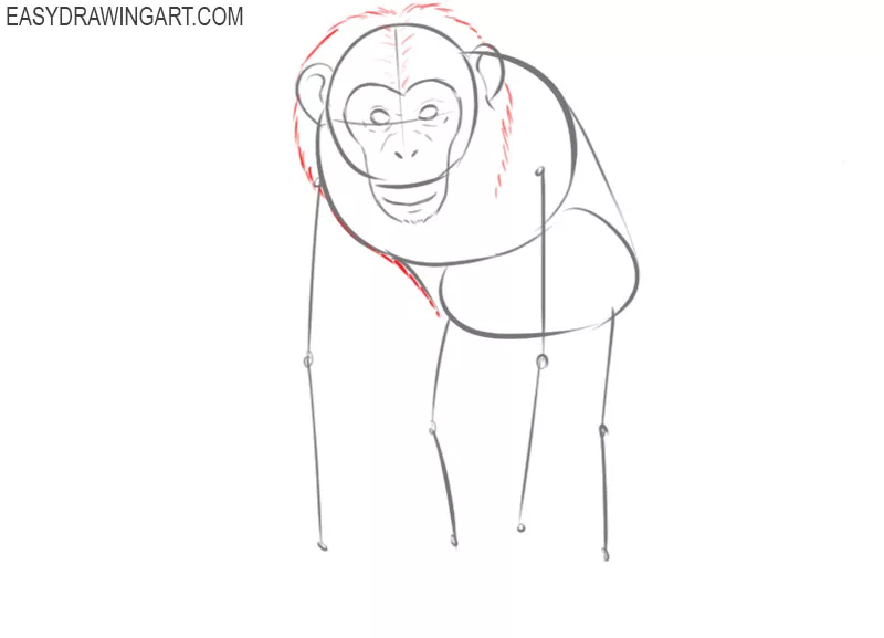 how to draw a chimpanzee step by step easy