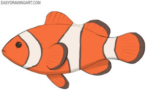How to draw a clownfish