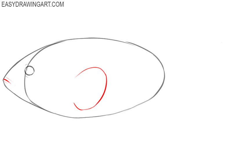 how to draw a cute clown fish