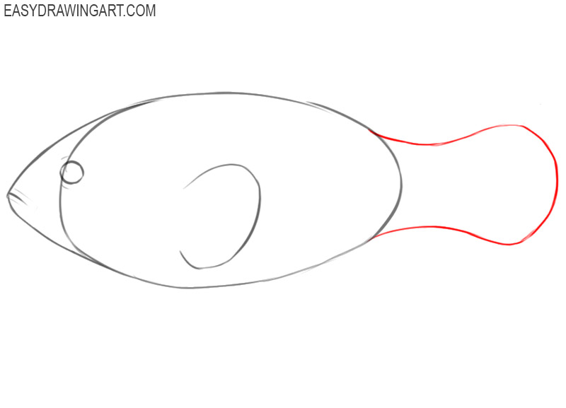 easy to draw clownfish