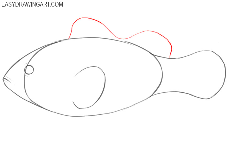 how to draw a small clownfish