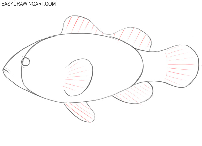 how to draw an easy cartoon clownfish