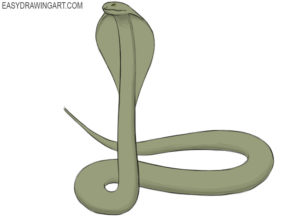 How to draw a cobra