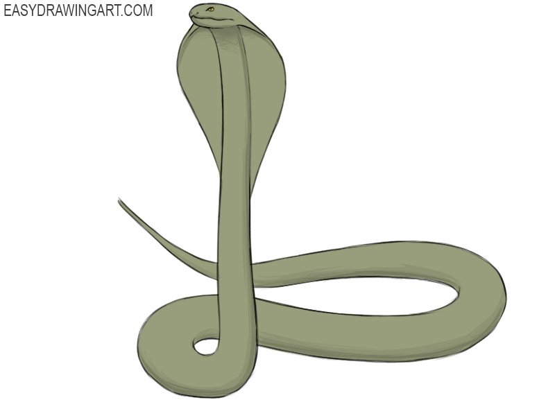 how to draw a cobra