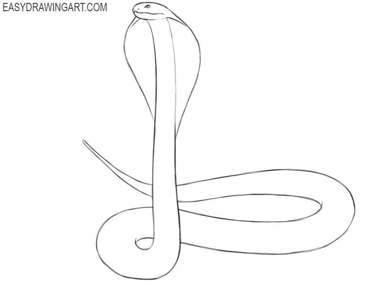 how to draw a cobra step by step easy