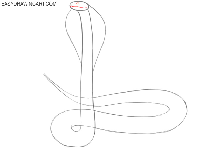how to draw a cobra step by step