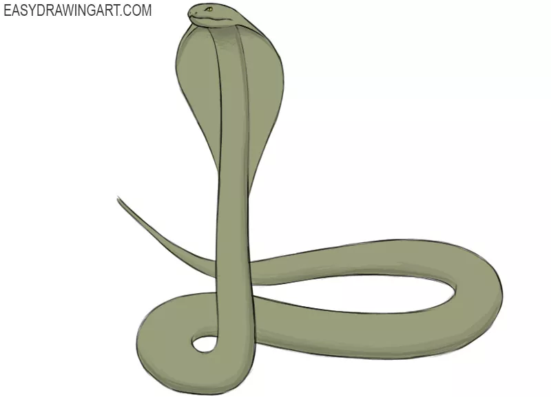 how to draw a cobra