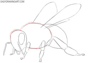 How to Draw a Bee - Easy Drawing Art