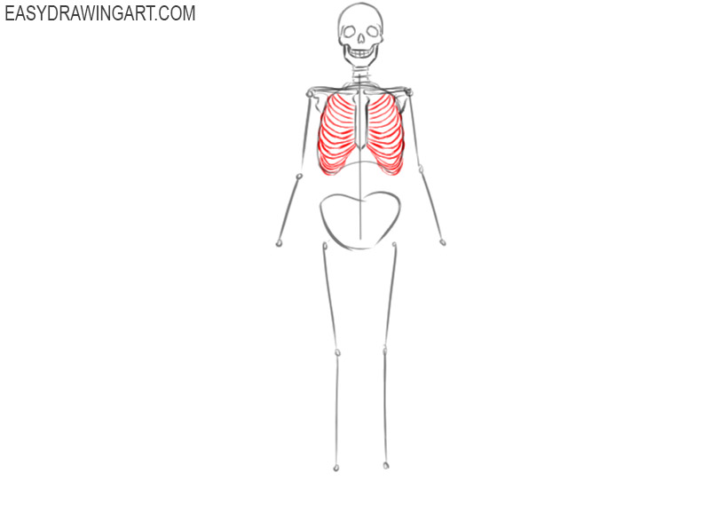 How To Draw A Skeleton Body Kilby Indart 