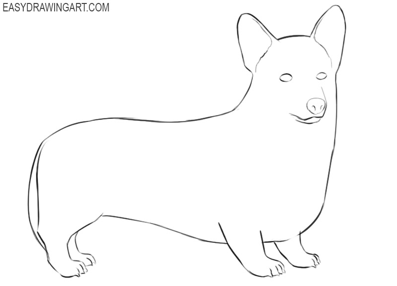 how to draw a cute corgi step by step