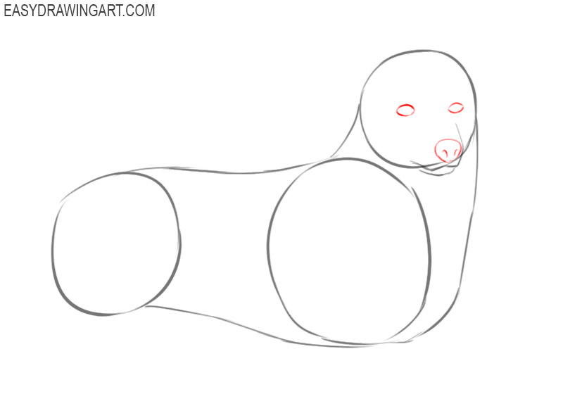 how to draw a corgi step by step easy