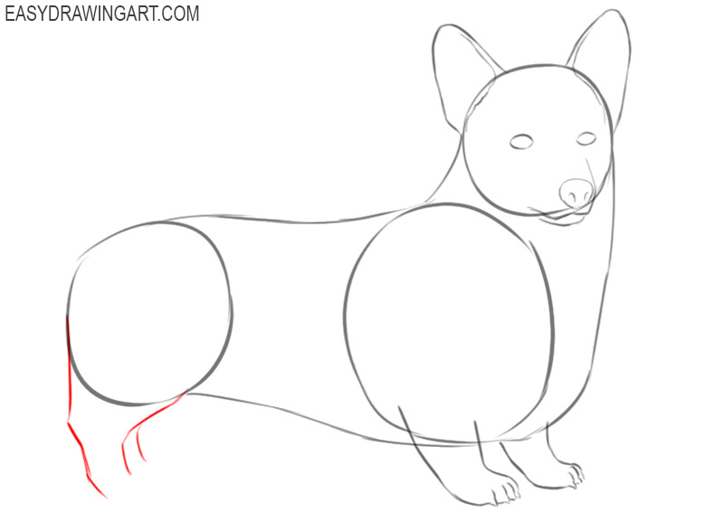 how to draw a corgi draw so cute