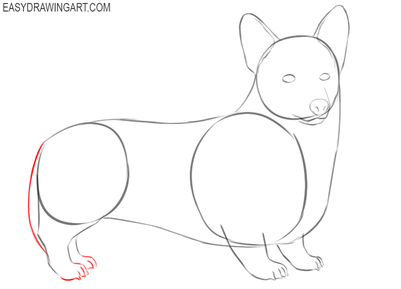 how to draw a simple corgi