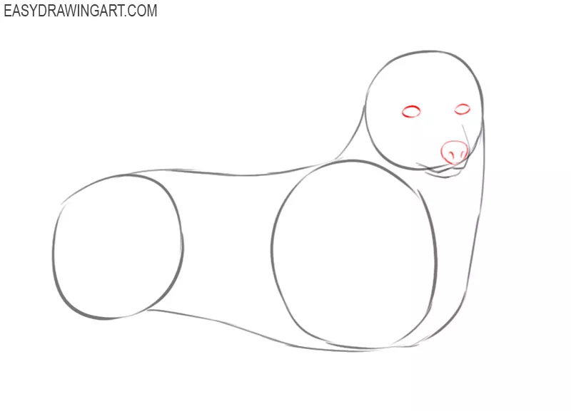 how to draw a corgi step by step easy