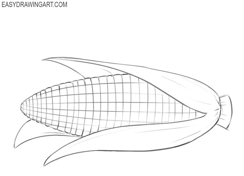 How to draw a corn cob easy