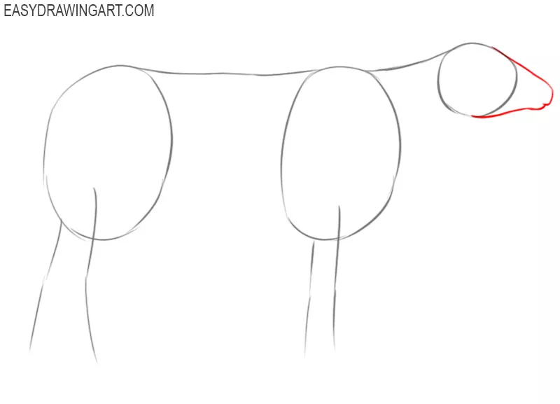 how to draw a cow and colour