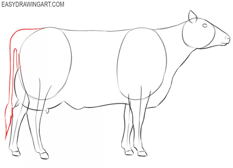 how to draw a cow easy step by step