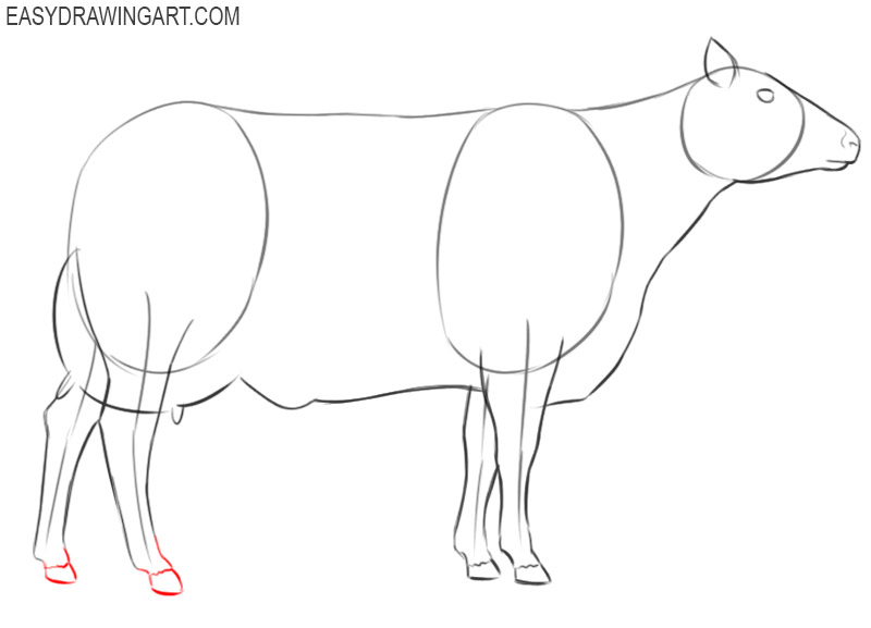 how to draw a cow draw so cute