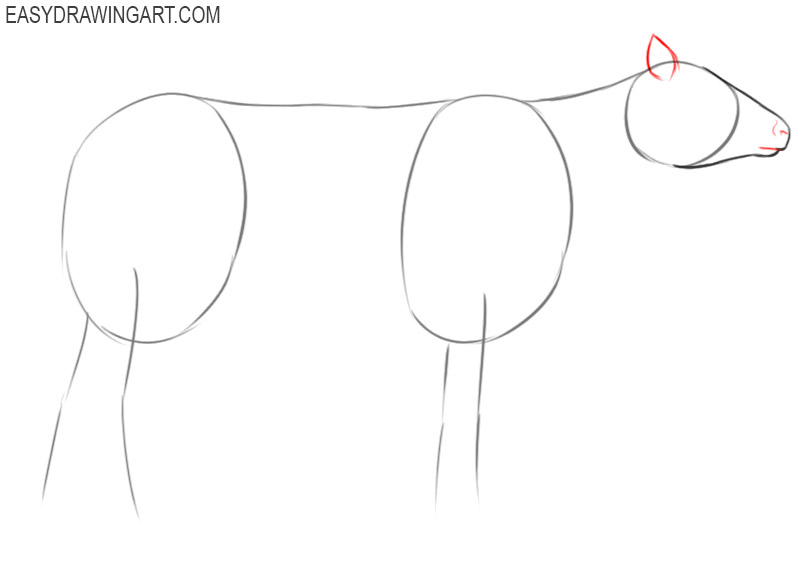 how to draw a cow for kids
