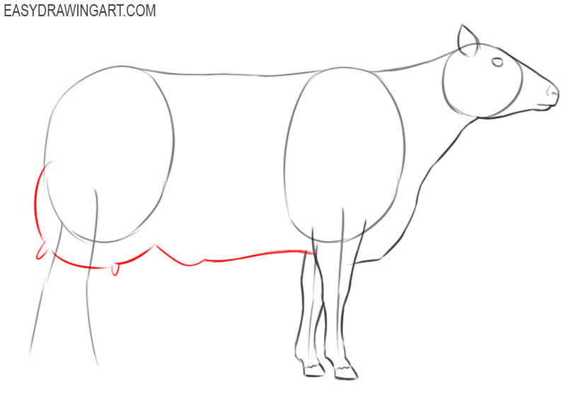 how to draw a cow cartoon
