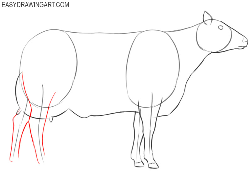 how to draw a cartoon cow step by step