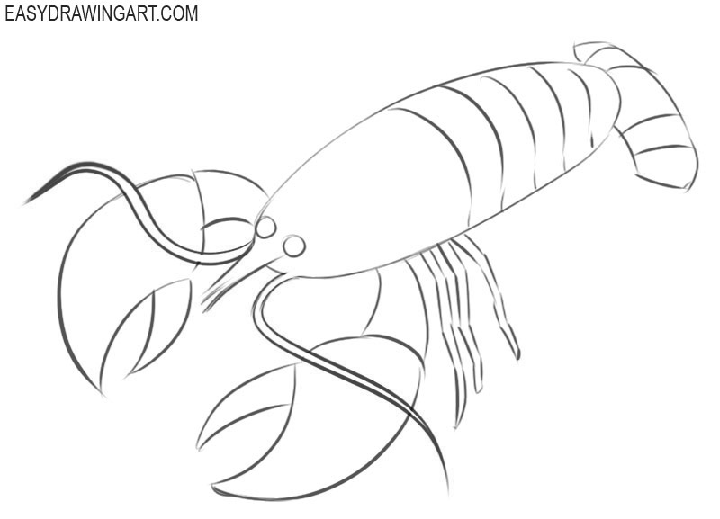 How to draw a crayfish easy