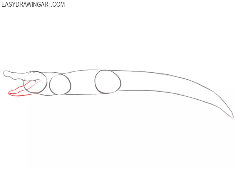 how to draw a crocodile easy step by step