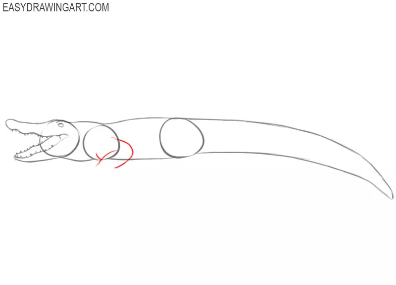 how to draw a crocodile by step by step