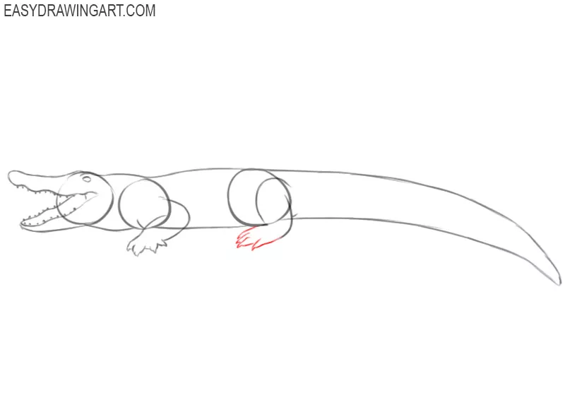 Crocodile Alligators Drawing Line Art Cartoon Silhouette Toad White  Crocodile Alligators Drawing png  PNGWing