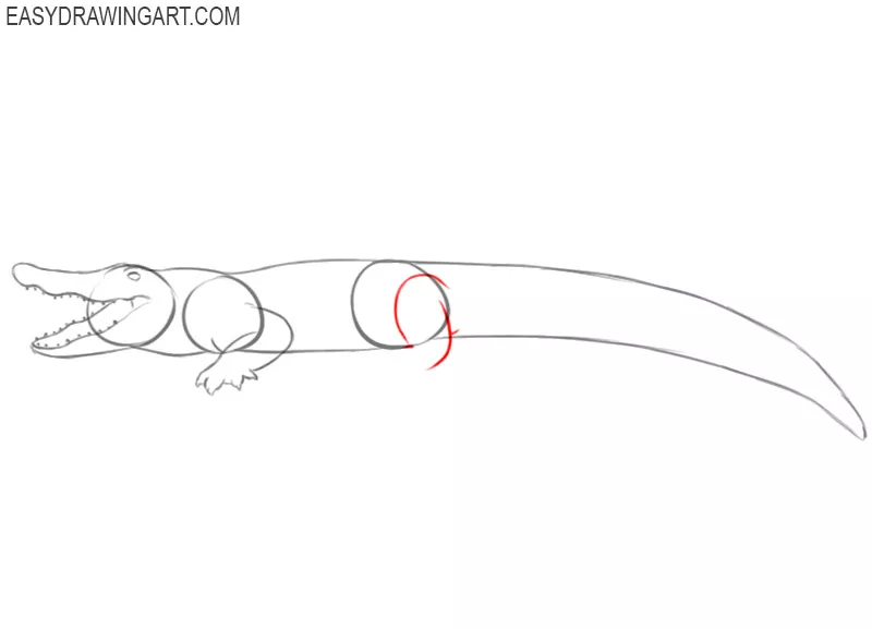 how to draw a crocodile step by step for beginners