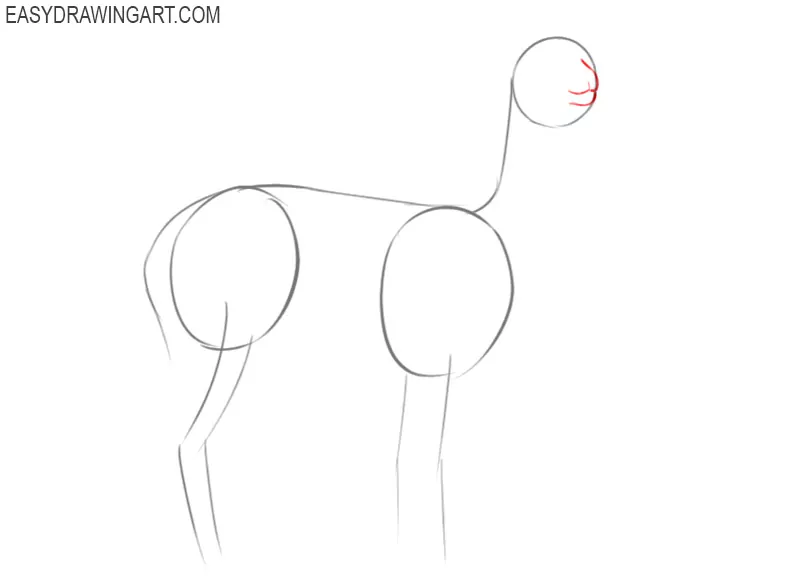how to draw a cute alpaca step by step
