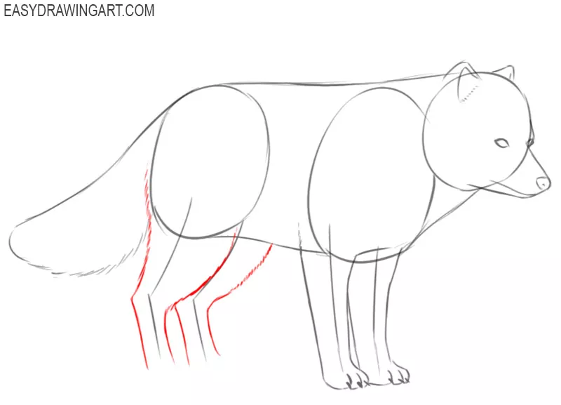 how to draw a cute arctic fox step by step