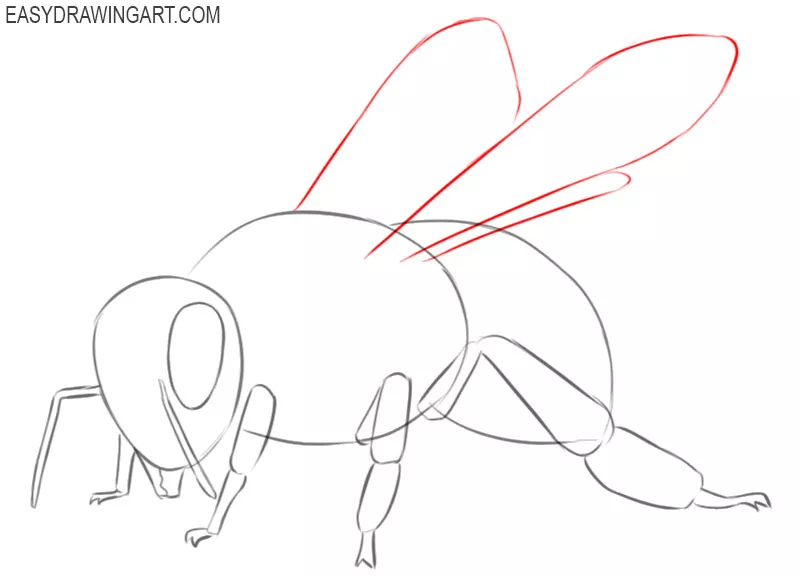  how to draw a cute bee easy