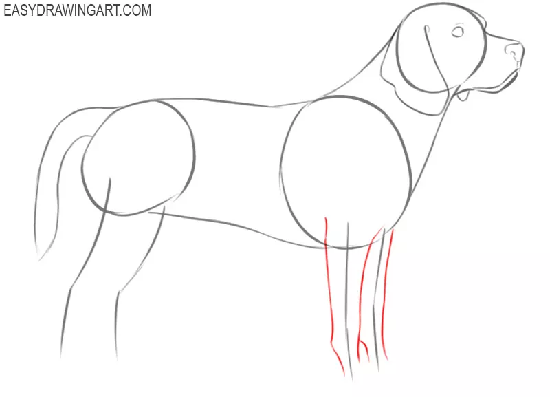 how to draw a cute cartoon beagle