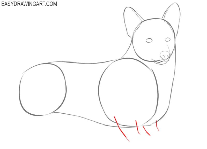 how to draw a cute cartoon corgi