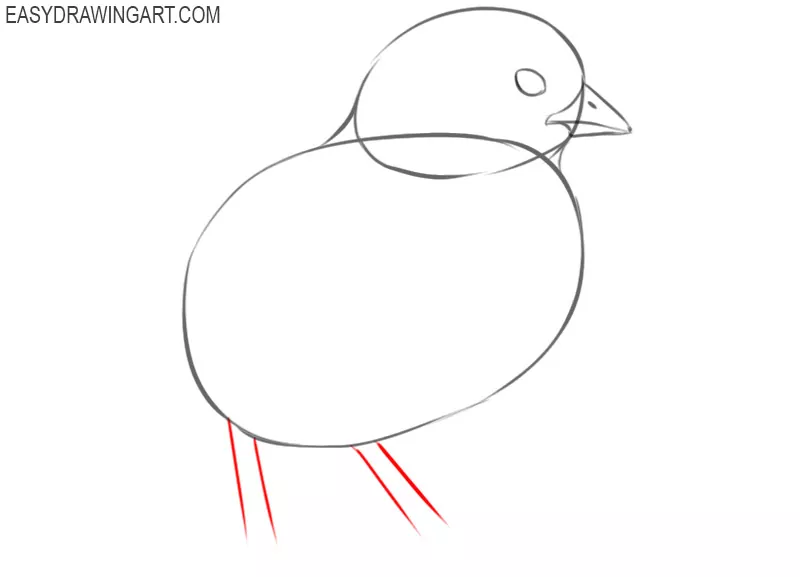 how to draw a cute chick