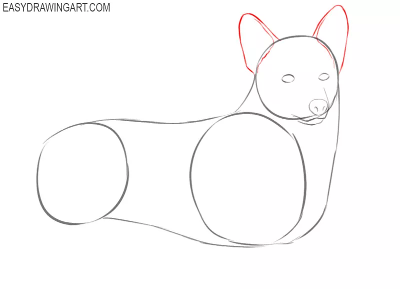 how to draw a cute corgi easy
