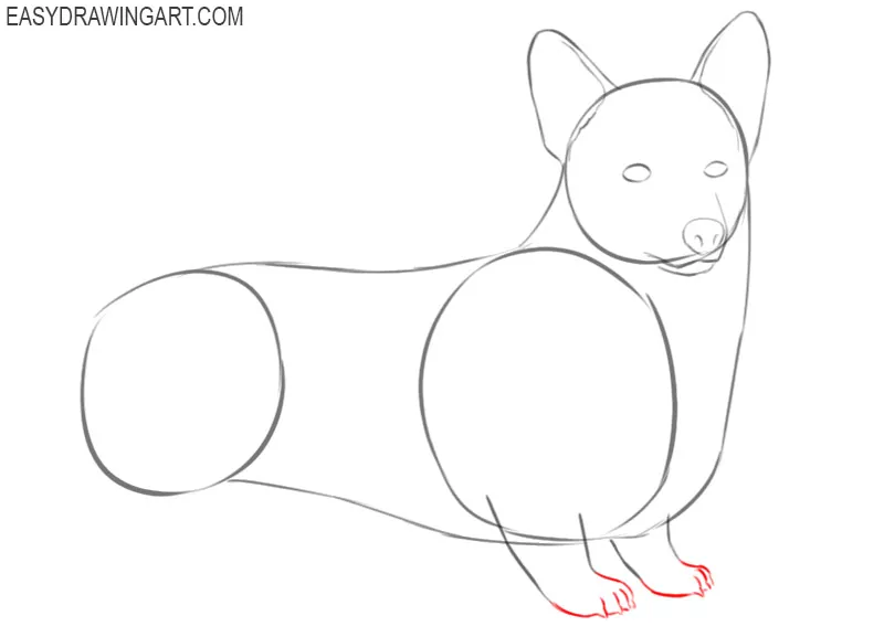 how to draw a cute dog corgi